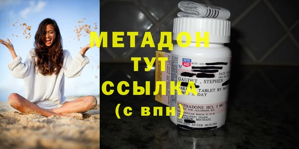 трава Белокуриха