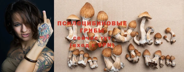 соль ск Балахна
