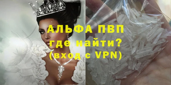 прущие грибы Баксан