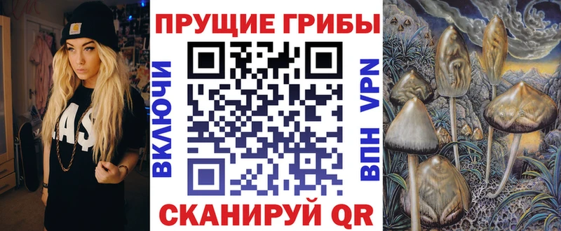 Псилоцибиновые грибы мухоморы Нововоронеж