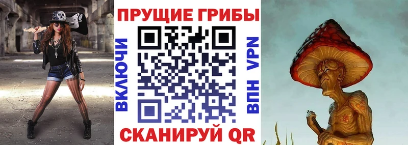 Галлюциногенные грибы Psilocybine cubensis  Нововоронеж 