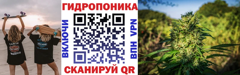 Бошки марихуана SATIVA & INDICA  Нововоронеж 